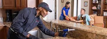 Best Termite Inspection and Treatment  in South Bound Brook, NJ