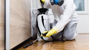 Professional Pest control in South Bound Brook, NJ